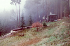 10-3-2010_009