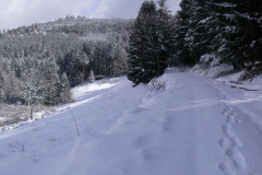 februar-april-08-006