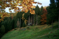 herbst04