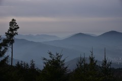 750_2685