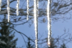 februar-april-08-010