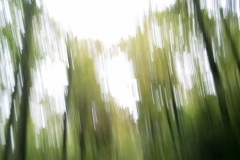 huette-herbst-04-043