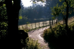 huette-herbst-04-047