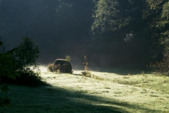 huette-herbst-04-048_0