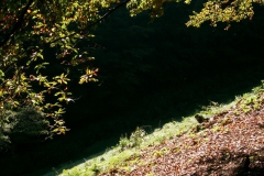 huette-herbst-04-049