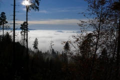 november-2011-14