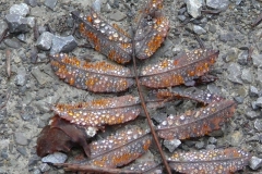 november-2011-6