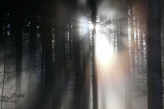 november-2011-7