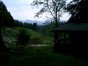 Blick von der Hütte 2005